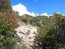 photo thumbnail #12