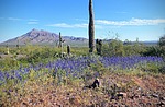 photo thumbnail #2