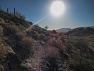 photo thumbnail #1