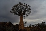 photo thumbnail #3