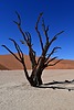 photo thumbnail #15