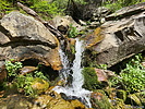 photo thumbnail #5