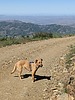 2023-05-24 :2: Little Mount Ord :: pseudalpine
