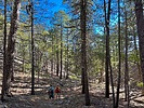 photo thumbnail #9