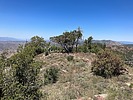 2023-05-27 :1: Mazatzal Mt Catherine - Mt Peeley :: John10s