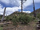 2023-05-28 :1: Chiricahua Peak from Rustler Park TH :: BubbaJuice