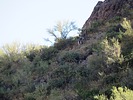 photo thumbnail #12