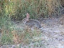 photo thumbnail #11