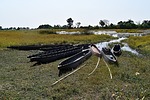 photo thumbnail #3