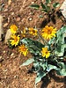 photo thumbnail #12