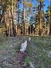 photo thumbnail #11