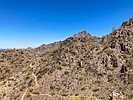 2023-05-29 :1: RJ Peak :: kingsnake