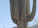 photo thumbnail #7