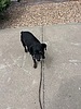 photo thumbnail #14