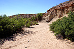 photo thumbnail #6