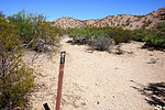 photo thumbnail #7