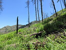 photo thumbnail #6