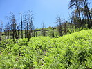 photo thumbnail #7