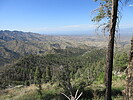 photo thumbnail #15