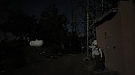 photo thumbnail #11