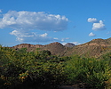 photo thumbnail #3