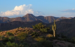 photo thumbnail #4