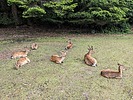 photo thumbnail #9