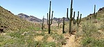 photo thumbnail #11