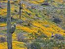 photo thumbnail #13