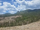 photo thumbnail #12