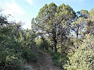 2023-06-07 :2: Salida Gulch Trail #95 :: LosDosSloFolks