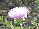 photo thumbnail #14
