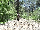 photo thumbnail #10