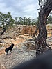 photo thumbnail #5