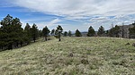 photo thumbnail #11