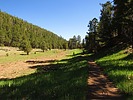 photo thumbnail #14