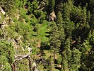 photo thumbnail #10