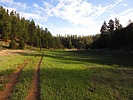 photo thumbnail #2