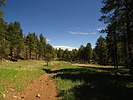 photo thumbnail #8