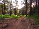 photo thumbnail #1