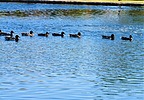 photo thumbnail #10