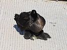 photo thumbnail #14