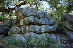 photo thumbnail #9