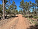 photo thumbnail #9