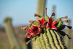 photo thumbnail #9
