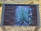 photo thumbnail #14