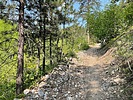 photo thumbnail #1