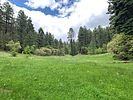 photo thumbnail #1