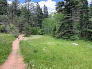 photo thumbnail #2