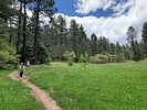 photo thumbnail #3